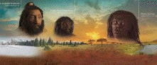 Human self-extinction