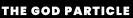 god particle